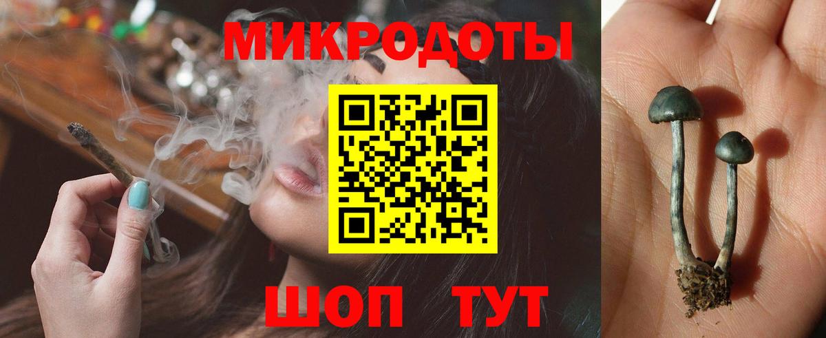 хочу   Псилоцибиновые грибы Cubensis  Железногорск  Вход с VPN  Галлюциногенные грибы ЛСД 